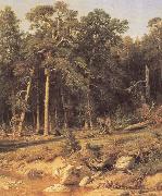 Ivan Shishkin A Pine Forest Mast-Timber forest in Viatka Province oil on canvas